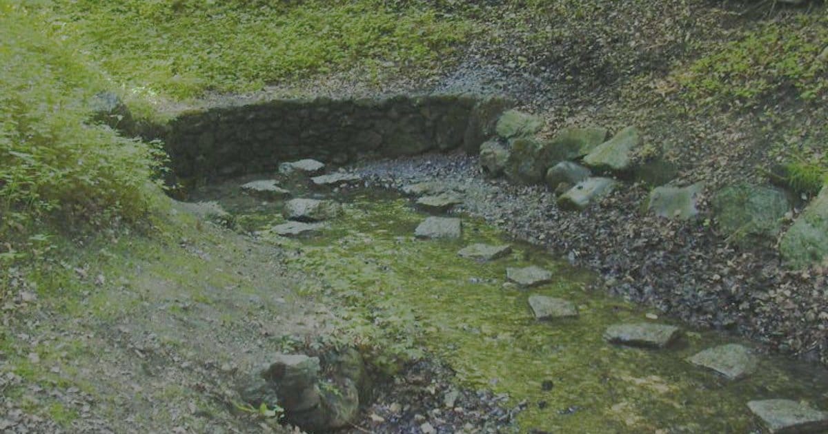 Schüsse bei Rave: Frau tot